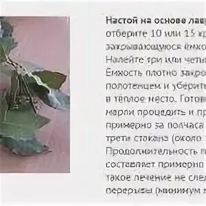 Лавровый лист при беременности для выкидыша. Отвар лаврового листа для прерывания беременности. Отвар лаврового листа для прерывания беременности. Пить отвар лавровый лист. Лавровый лист для выкидыша.