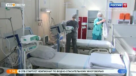 Местные вести санкт петербург