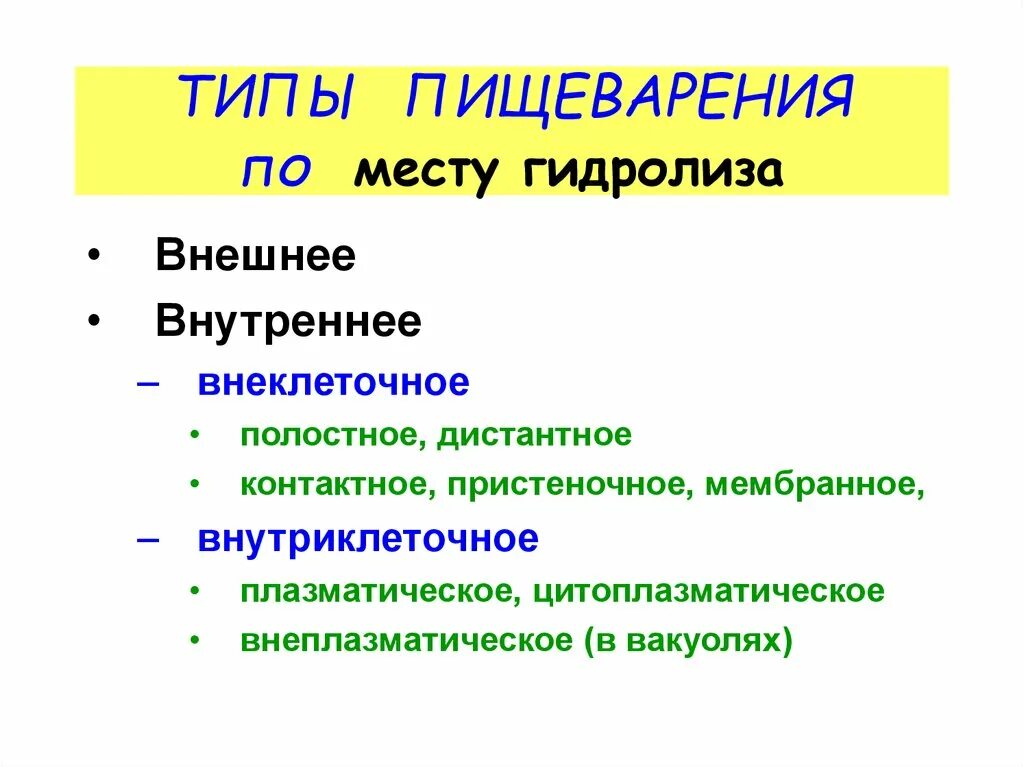 Гидролиз в пищеварении. Внутриклеточное цитоплазматическое пищеварение. Типы пищеварения. Пищеварение типы пищеварения. Типы пищеварения по гидролизу.