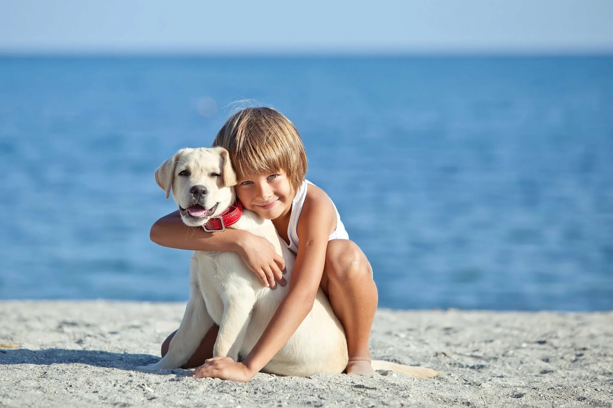 Лабрадор ретривер мальчик. Мальчик с собакой. Собака для детей. Собака на море. Мальчик и две собаки