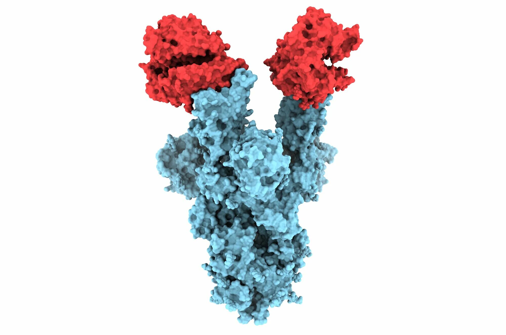 Вирус в британии. Alpha-strain Mutant. Drd1 Molecular Weight.