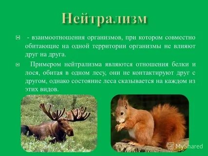 Взаимодействие животных с природой