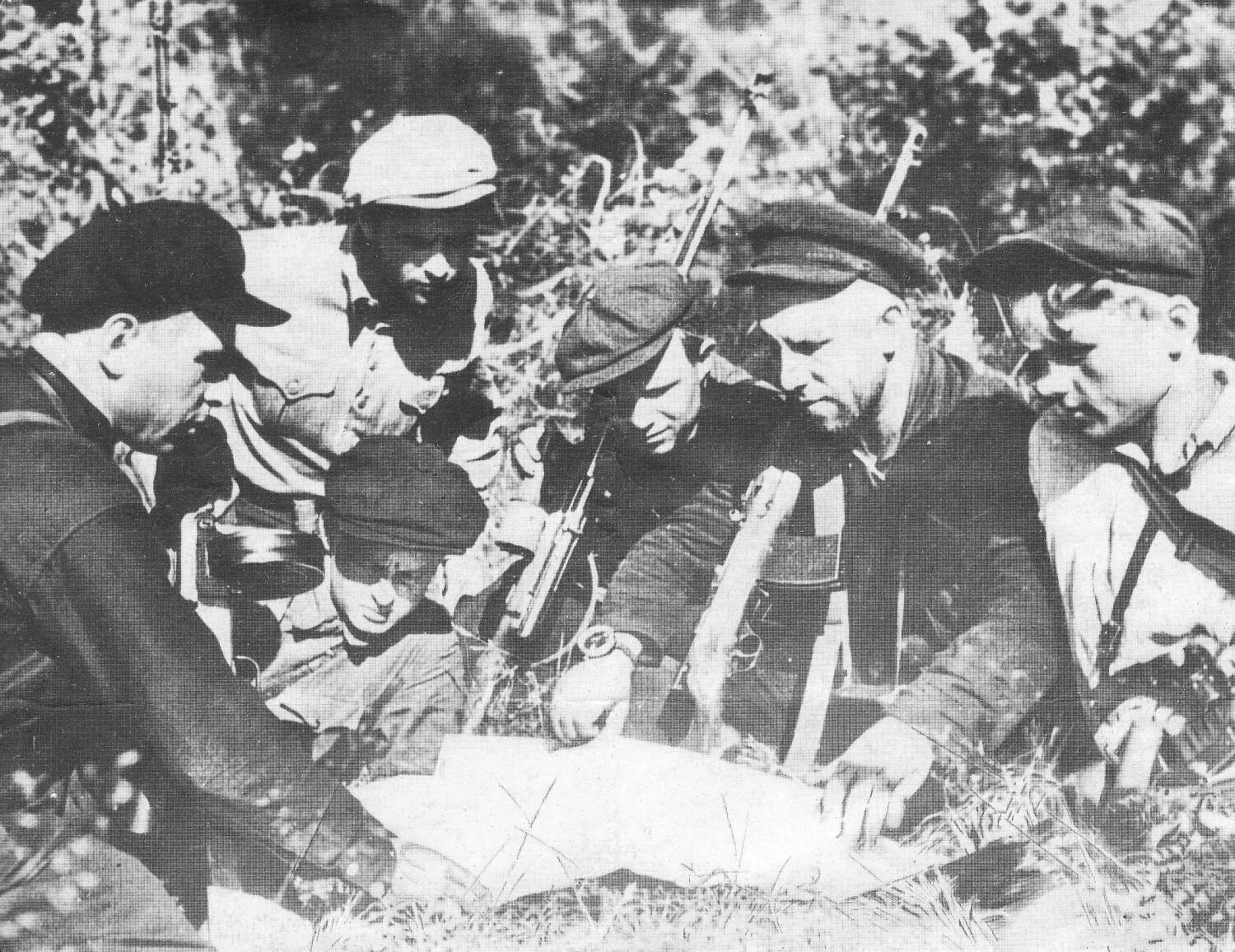 Партизанские отряды 1942 года. Югославские партизаны второй мировой. Партизанские отряды на украине и белоруссии. Партизанские отряды кубани 1943. 1-я ленинградская партизанская бригада.