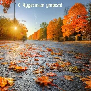 Гром осенью