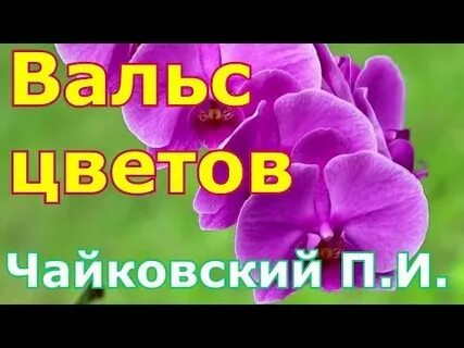 Слушать вальс цветов чайковского