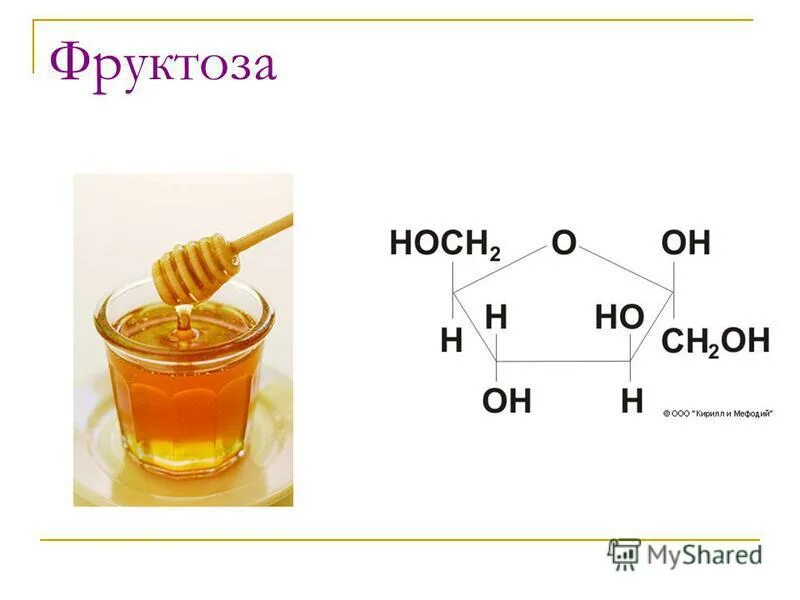 Фруктоза органическое вещество. Фруктоза входит в состав. Модель фруктозы. Колер из фруктозы. С чем взаимодействует фруктоза.