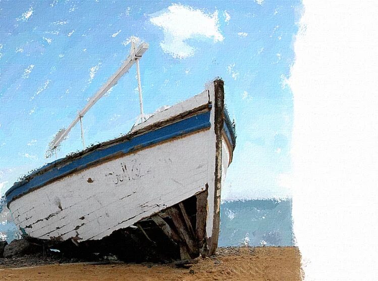 я мечтала о морях и кораллах автор