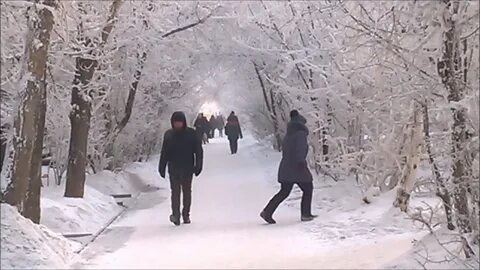 Зима в 23 24 году
