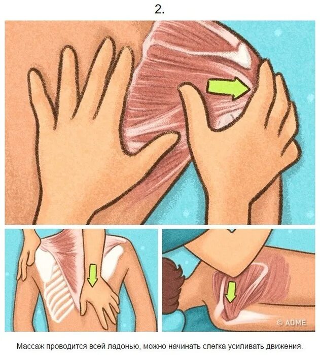 Как часто можно мастурбировать мужчине. Массаж спины техника. Массажные движения для рук. Техники расслабляющего массажа. Правильный массаж спины.