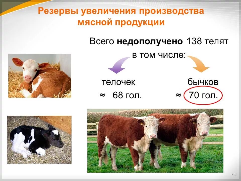 Менее крупные. Увеличение производства продукции животноводства. Резервы увеличения продукции животноводства. Основа производства продукции животноводства. Пути увеличения животноводческой продукции.