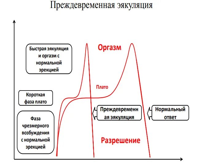 Почему у мужчины во время акта