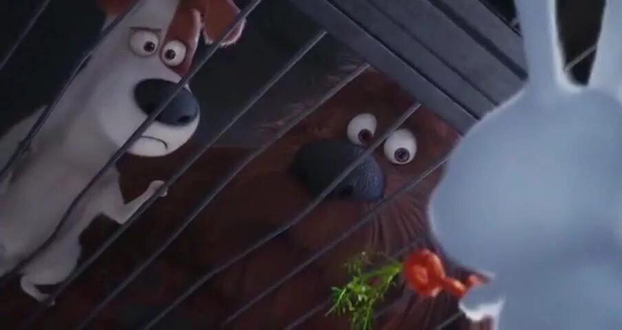 Тайная жизнь домашних животных 1гиджет. Тайная жизнь животных 2. Тайная жизнь домашних животных 2 собака. Гиджет тайная жизнь домашних животных 2. Тайная жизнь домашних животных 2.