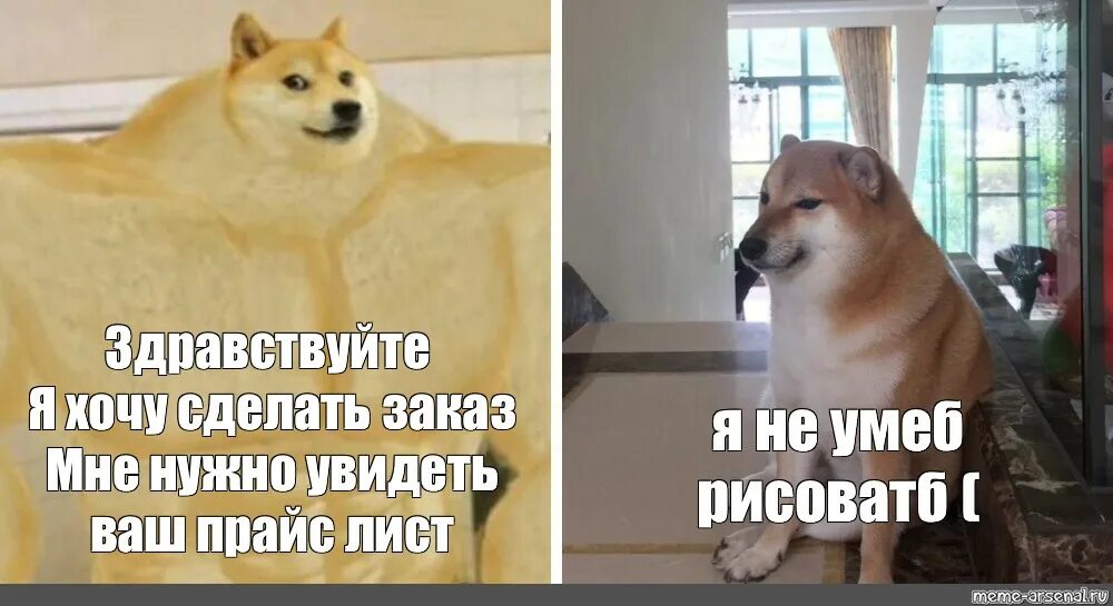 Сиба-ину Doge. Сиба ину доги. Акита ину Doge. Сиба ину большая.