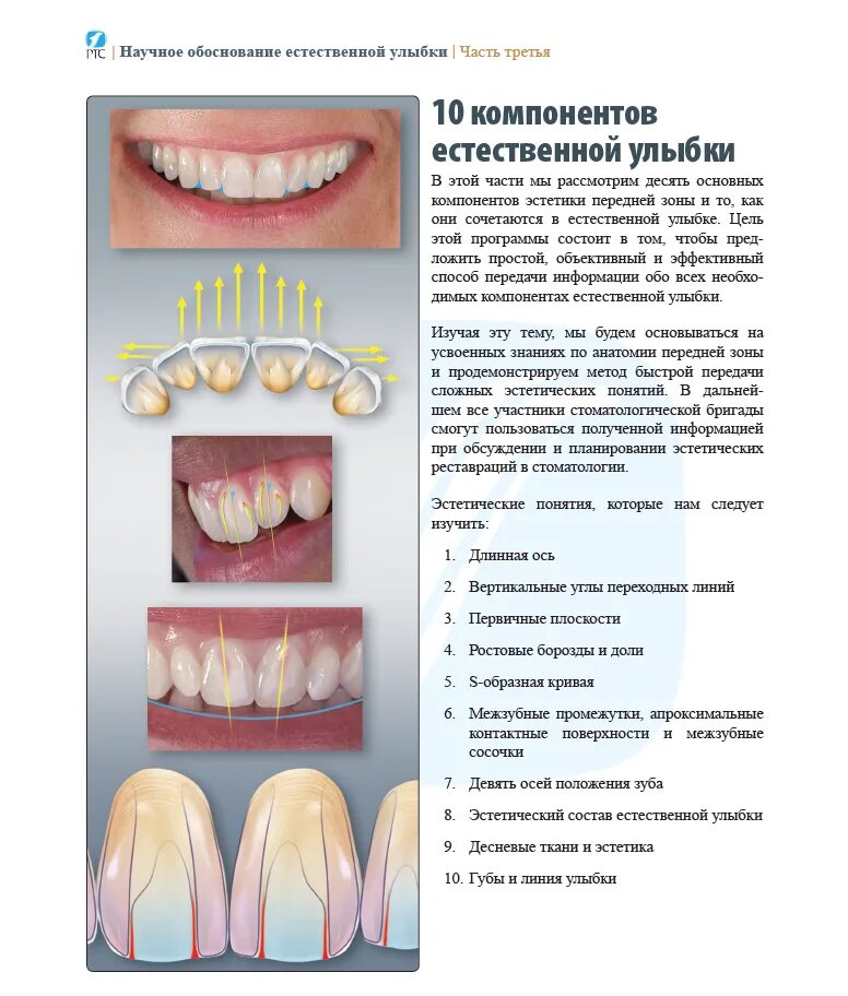 зубные техники книги. анатомия зубов учебные пособия для зубных техников. копейкин зубопротезная техника. анатомия зубов учебные пособия для зубных техников. зубопротезная техника расулова.