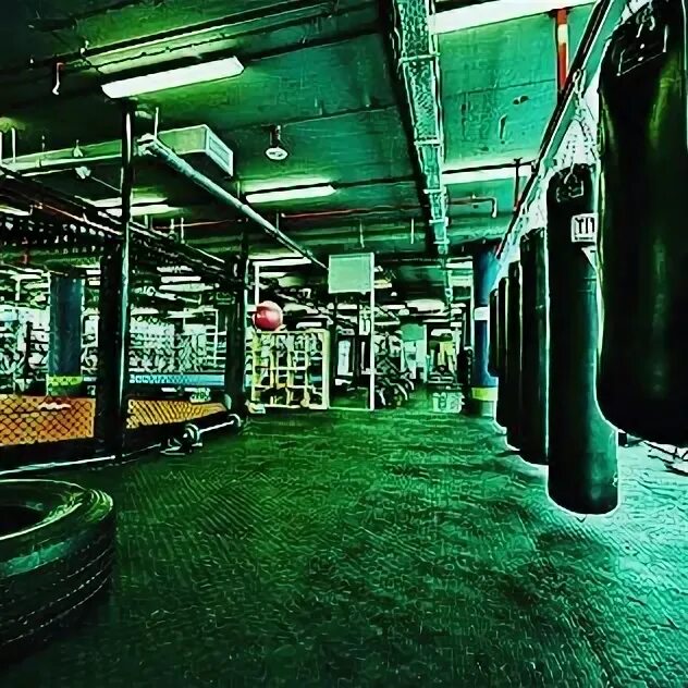 Ufc fight night. Мма в дубае. Parus fight championship. Мма в дубае. Мма в дубае.