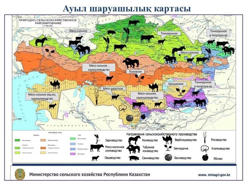 природно-сельскохозяйственное районирование территории. природно сельскохозяйственное районирование. самые крупные и сложные птк. зональные типы почв беларуси. почвенная карта башкортостана с районами.