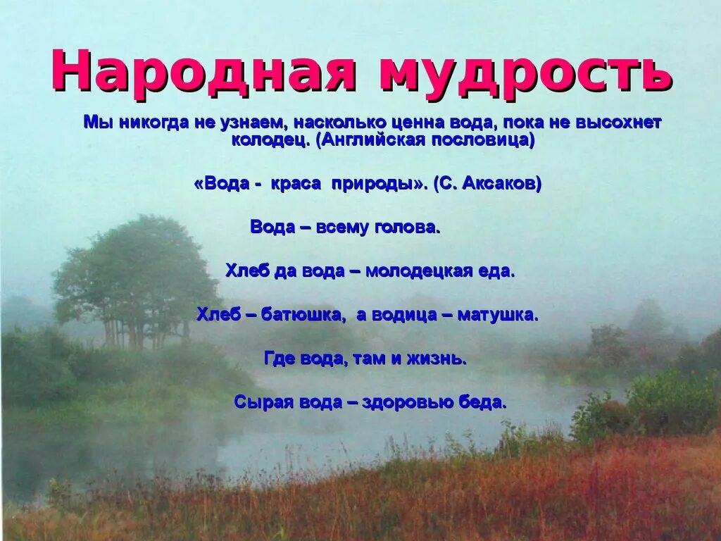 Пословицы о природе. Пословицы и поговорки о природе. Народная мудрость о природе. Поговорки о воде. Мудрость народного слова