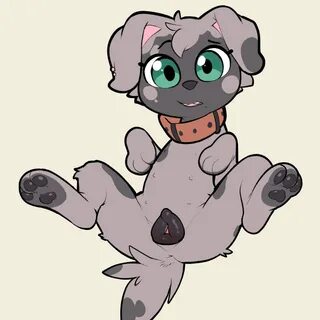 3_toes, 6_nipples, animal_genitalia, animal_pussy, anus, black_eyebrows, bl...