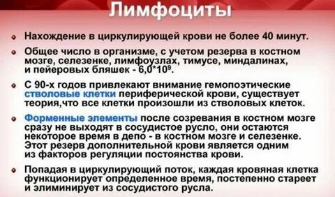Лимфолейкоз анализ