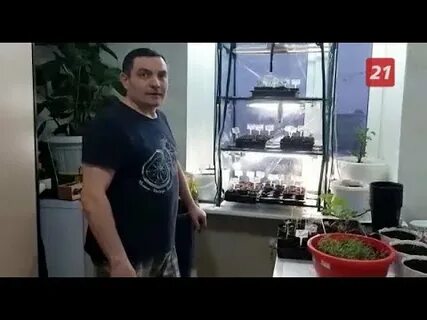 Техник мурманск