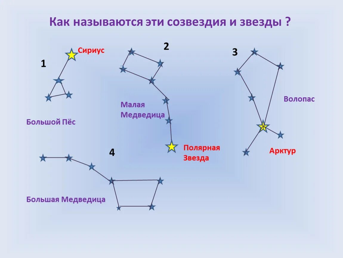 Запиши название созвездий. Сириус звезда и большая Медведица. Большая Медведица и Арктур звезда. Большая и малая Медведица Полярная звезда. Большая Медведица Созвездие схема с названиями.