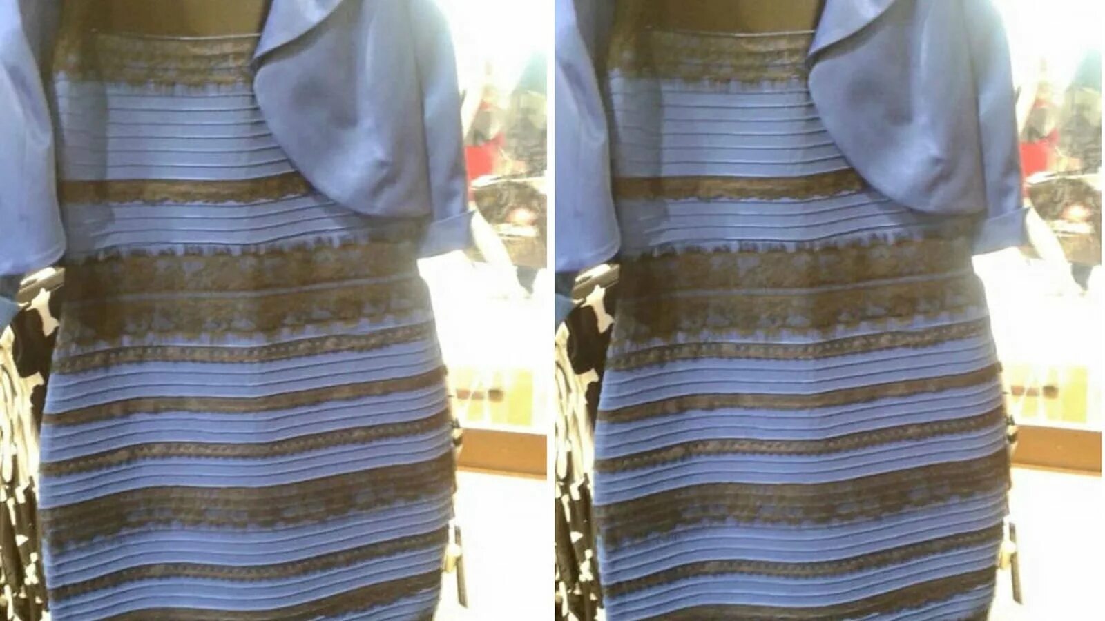 Сине-черное платье. Чернчерно синие платье. Платье иллюзия цвета. The dress fits her. The dress fits her.