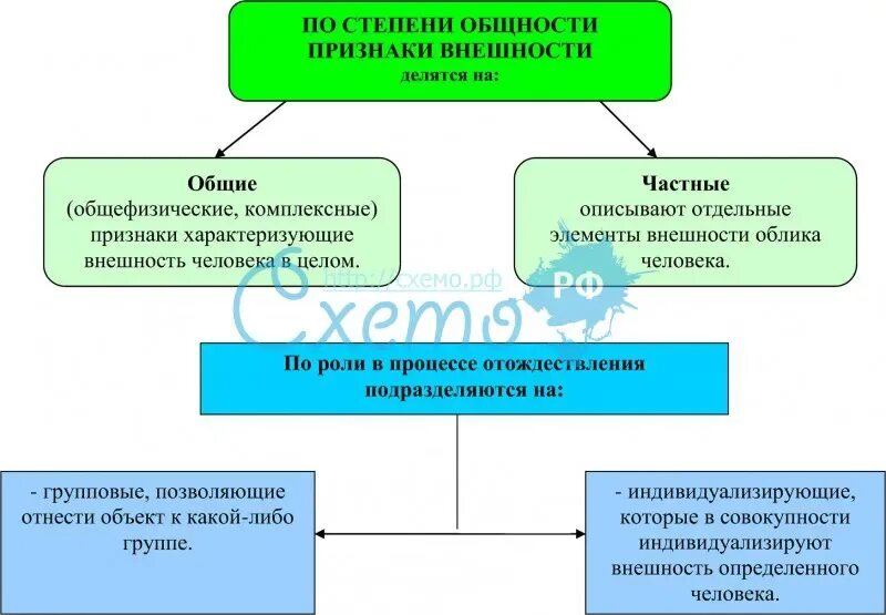 Общие и частные признаки объекта. Классификация идентификационных признаков. Классификация идентификационных признаков криминалистика. Идентификационные признаки делятся на. Идентификационные признаки в криминалистике.