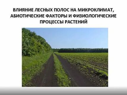 Физиологические процессы растений