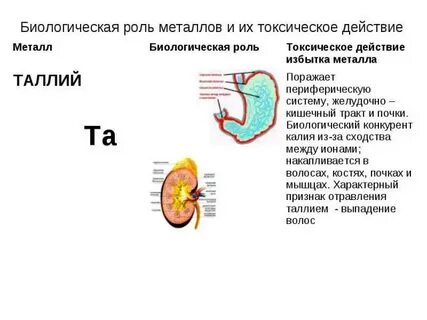 Роль металлов в организме человека химия