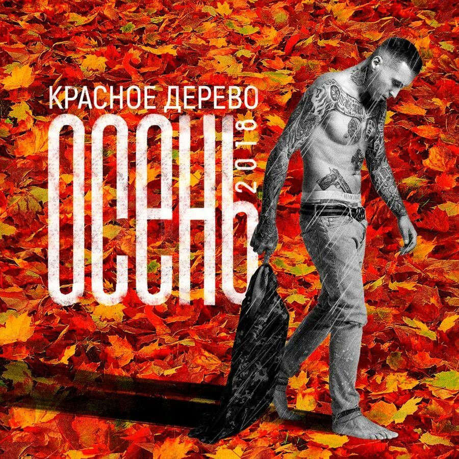 Красное дерево альбом. Красное дерево обложка. Красное дерево рэп. Красное дерево логотип. Свой красное дерево текст