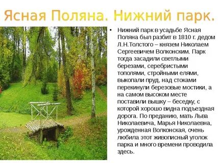 Поляне кратко