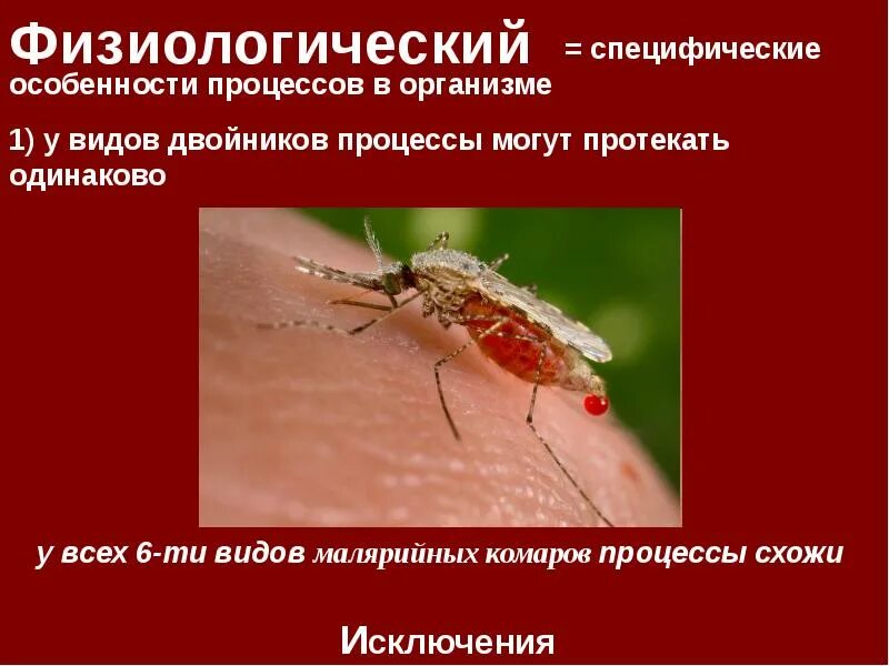 Вопросы по биологии / Характеристика основных критериев вида. Почему для определ