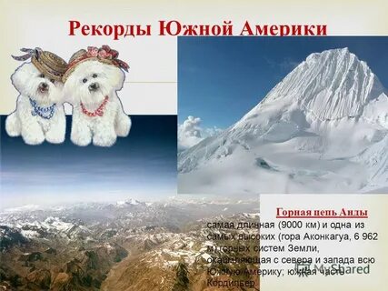 Рекордсмены южной америки