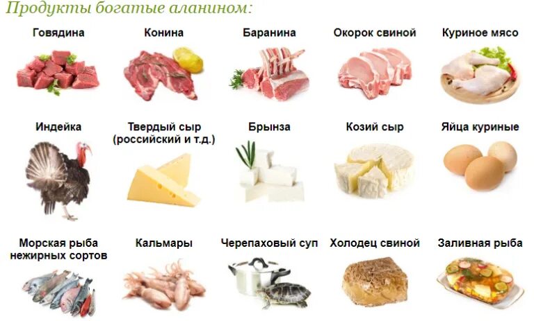 Глицин содержится в продуктах. Бета аланин в продуктах питания. триптофан продукты с высоким содержанием. продукты богатые аланином. продукты содержащие аминокислоты.