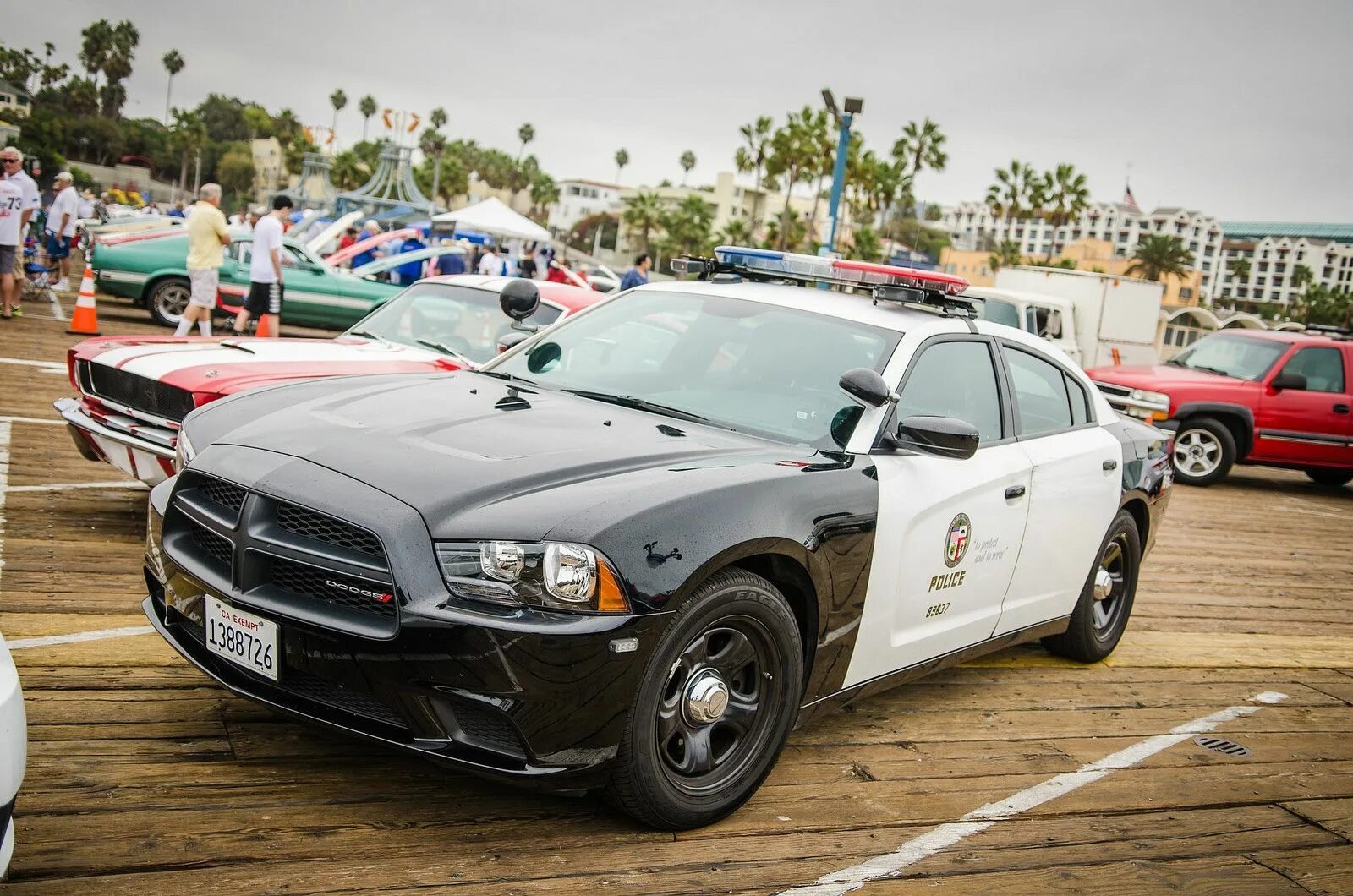 Полицейский мустанг. Dodge Charger 2014 LAPD. Dodge Charger LAPD. Додж Чарджер 2010 LAPD. Dodge Charger Police LAPD.