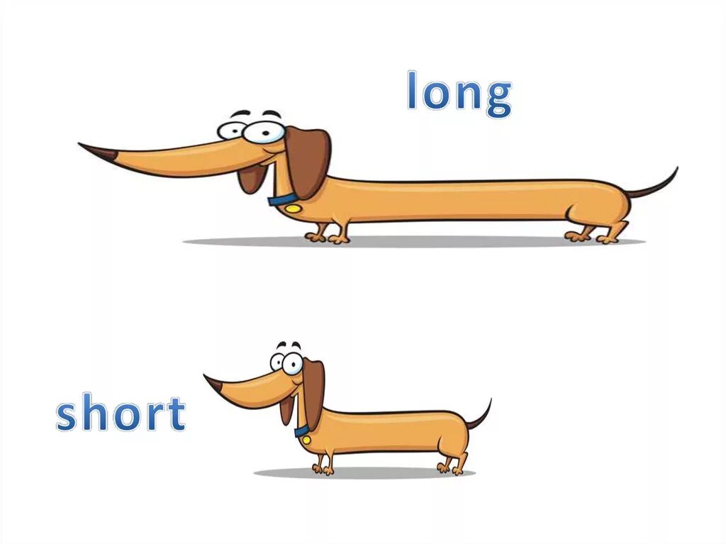 Long short для детей. Карточки long short. Long short for Kids. Long short в английском. Thin adjective