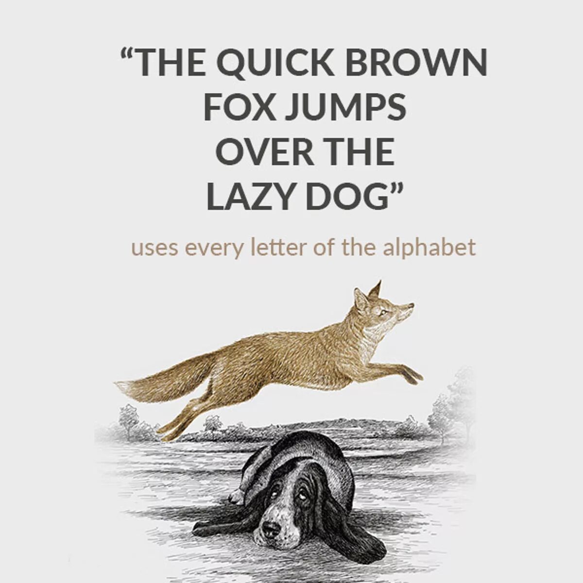 The quick brown. Brown Fox Jumps over the Lazy Dog. The quick Brown Fox. Коричневая лиса прыгает через ленивую собаку. The quick Brown Fox Jumps.