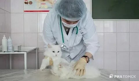 Что сдавать на егэ на ветеринара