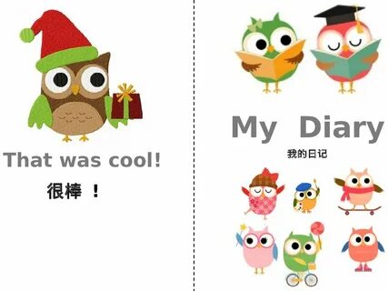 My diary