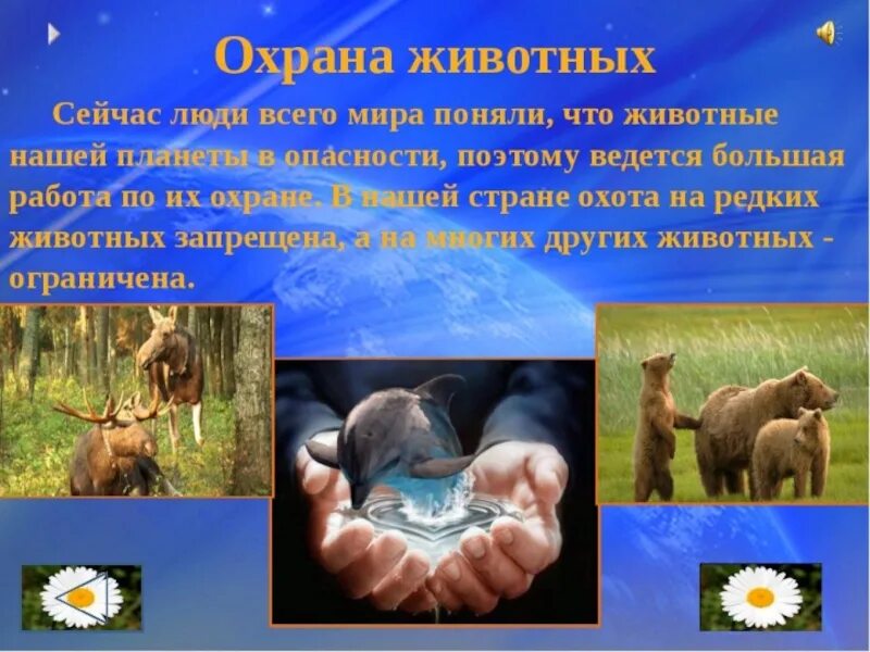 Экология животных исследовательская работа. Охрана животных. проект охрана животных. доклад охрана животных. охрана животных презентация.