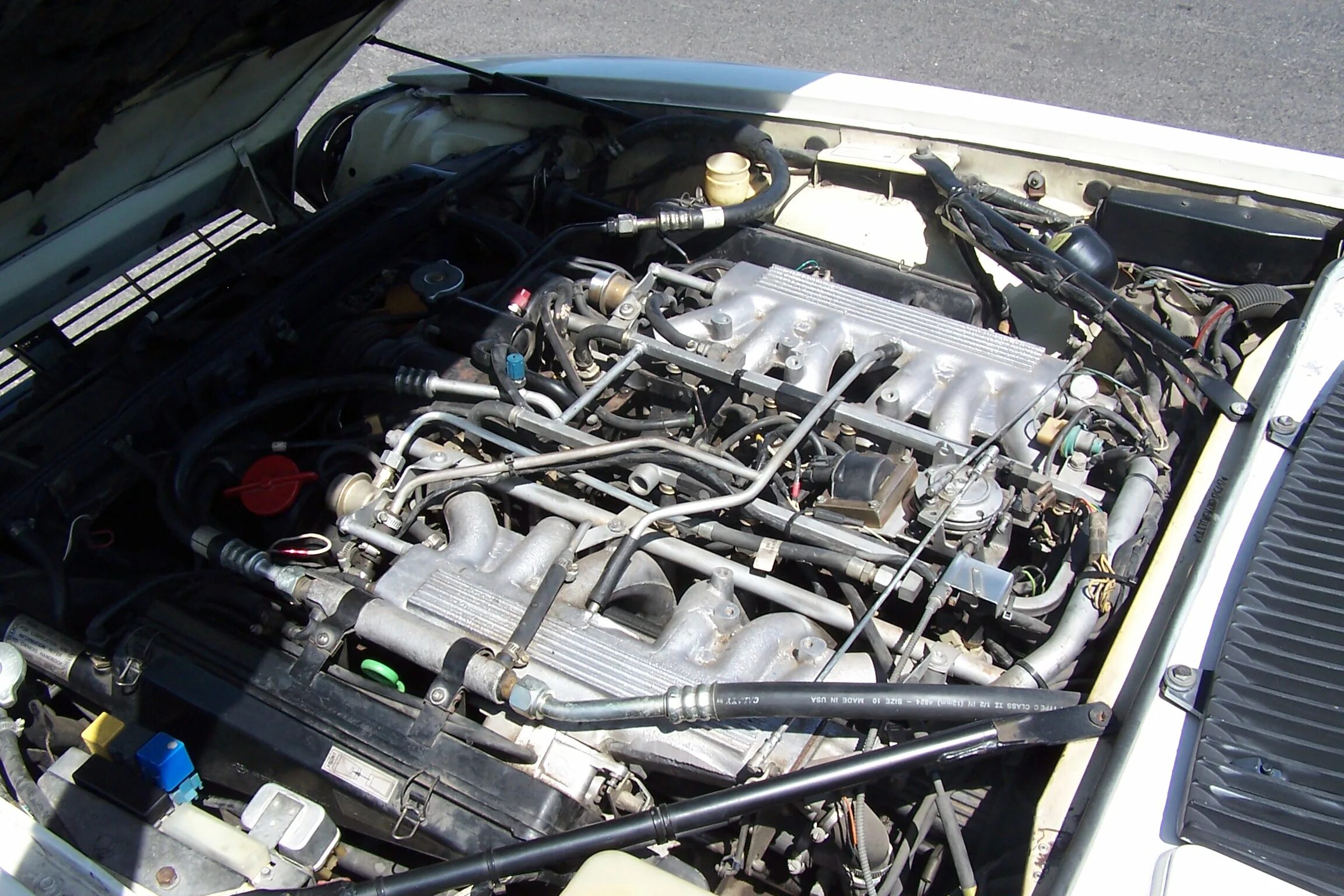 Ягуар xj двигатель. Jaguar xjs v12 двигатель. jaguar xj40 v12 engine. jaguar v12 engine. ягуар с двигателем w12.