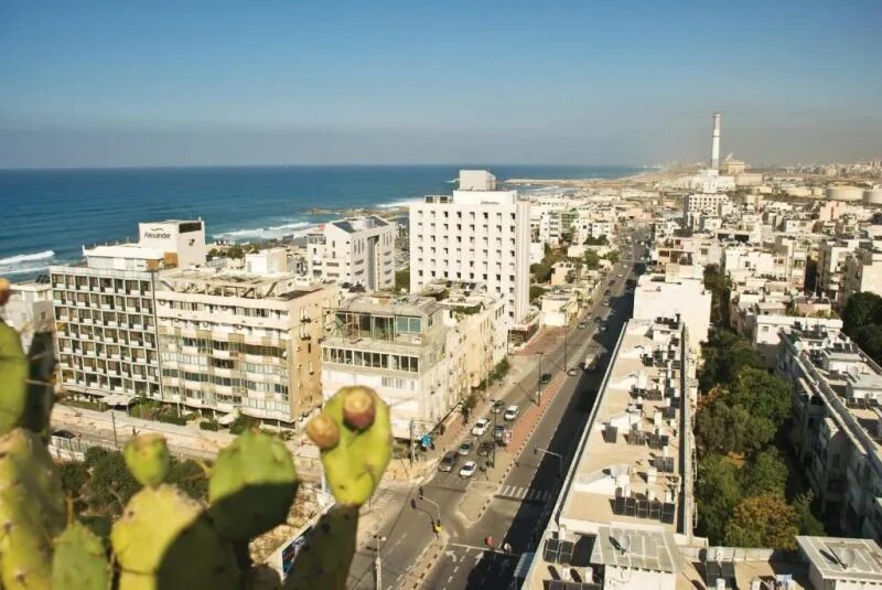 Тель авив 3. Grand beach hotel tel aviv. dolfy тель авив. гранд бич нетания израиль. кипр - тель-авив.