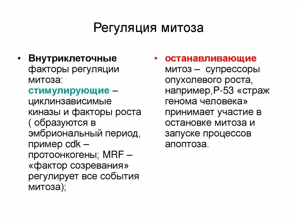 Пролиферация митоз. Факторы регуляции митоза. механизмы регуляции митоза. генетические факторы регуляции митоза. механизмы и факторы регуляции митоза.