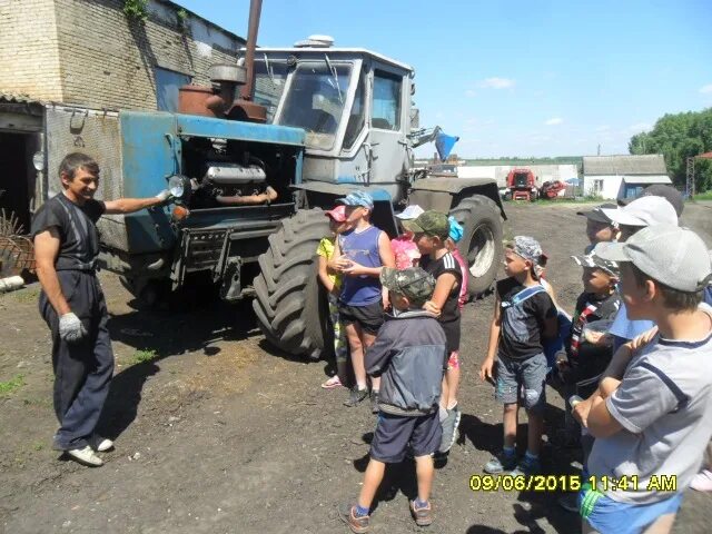 Спк северный соликамск. Совхоз северный выгоничи. Переработка падежа крс. С днем работника сельского хозяйства коровы. Спк киров кафе.