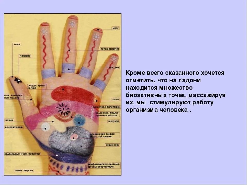 Значение моторики. Мелкая моторика и мозг. Для мелкой моторики рук детей. Моторика рук для развития мозга. Мелкая моторика пальцев рук у дошкольников.