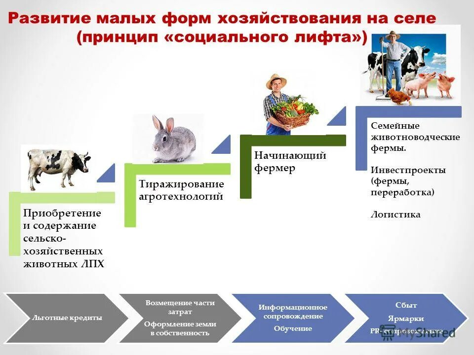 Поддержка малых форм. Поддержка малых форм