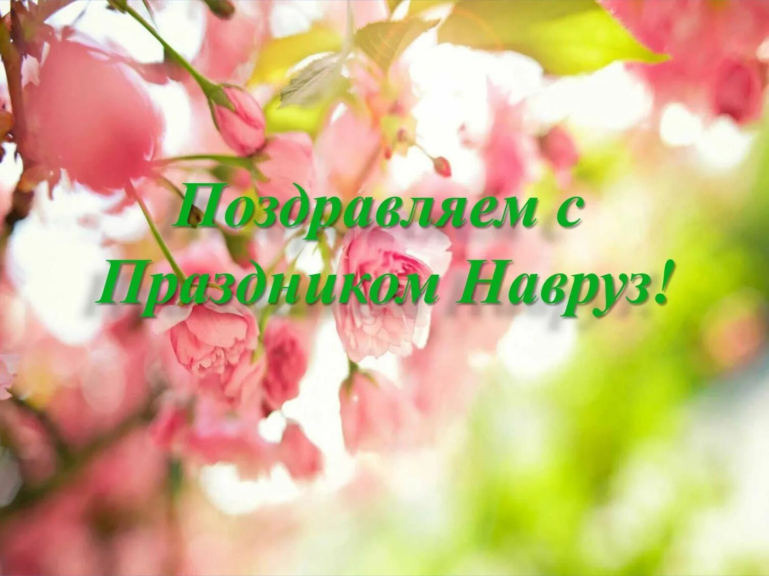 Открытки с праздником навруз с пожеланиями. С праздником навруз. навруз открытки. с праздником навруз картинки. с весенним праздником навруз.