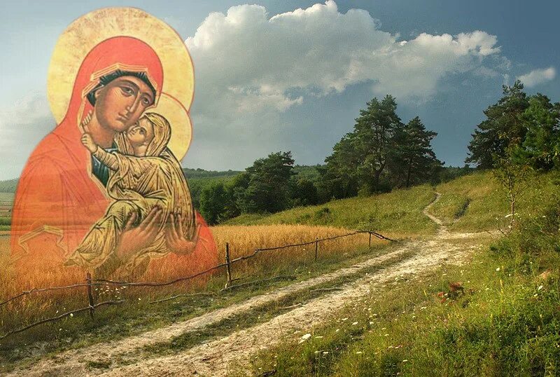 Anna august. Anna august. Портрет анны поповой. Anna august. Anna augusta.
