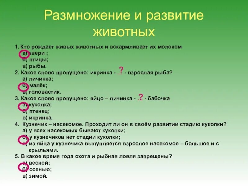 Тест разнообразие животных 3 класс плешаков. Размножение и развитие животных. Размножение животных 3 класс. Размножение и развитие животных 3 класс окружающий мир. Размножение и развитие животных 3 класс задания.