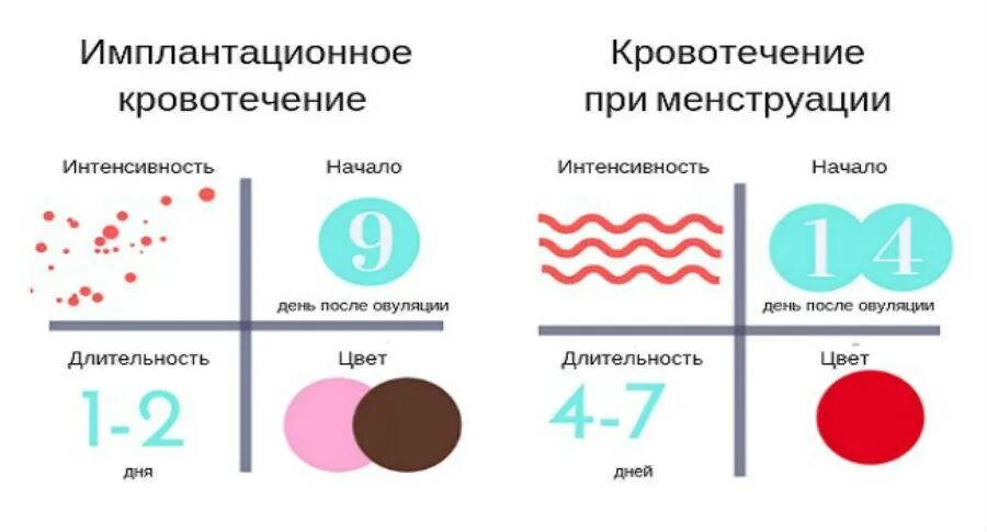 Могут ли быть месячные. Имплантационноеткроыотечение. Иплационое кровотечения. Импантационноекровотечение. «Имплантацион кровотечение.